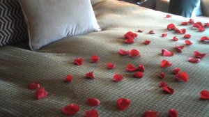 rose-petals-on-the-bed