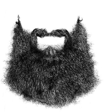 Beard_by_picasio