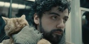 Llewyn Davis' contribution to the Bearded Men with Cats tumblr