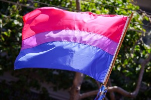 The_bisexual_pride_flag_(3673713584)
